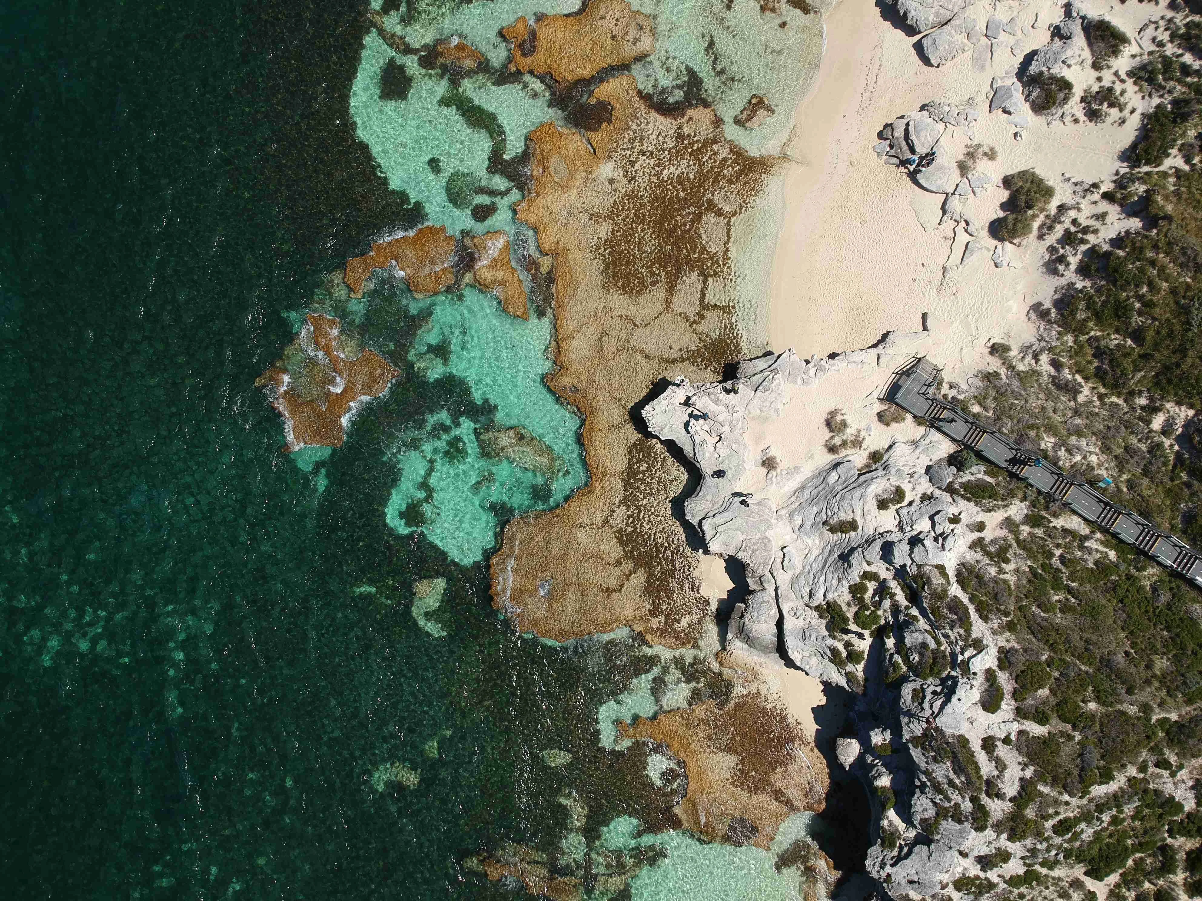 【澳洲】俯視羅特尼斯島的美麗海岸線。© Unsplash／m.fildza Fadzil