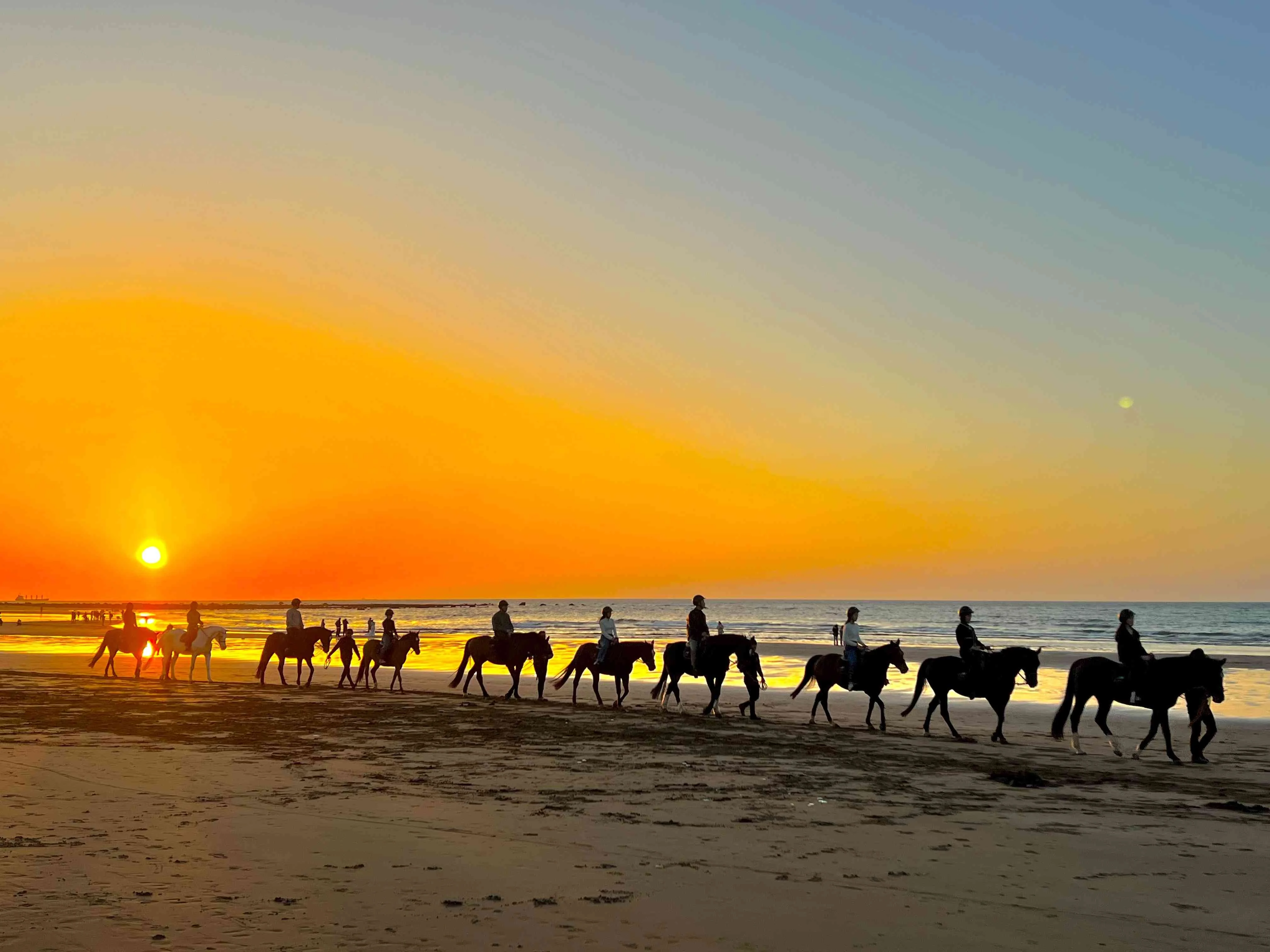 【馬場】在美麗的夕日下享受騎馬時光。(©綠野馬術文創園區)